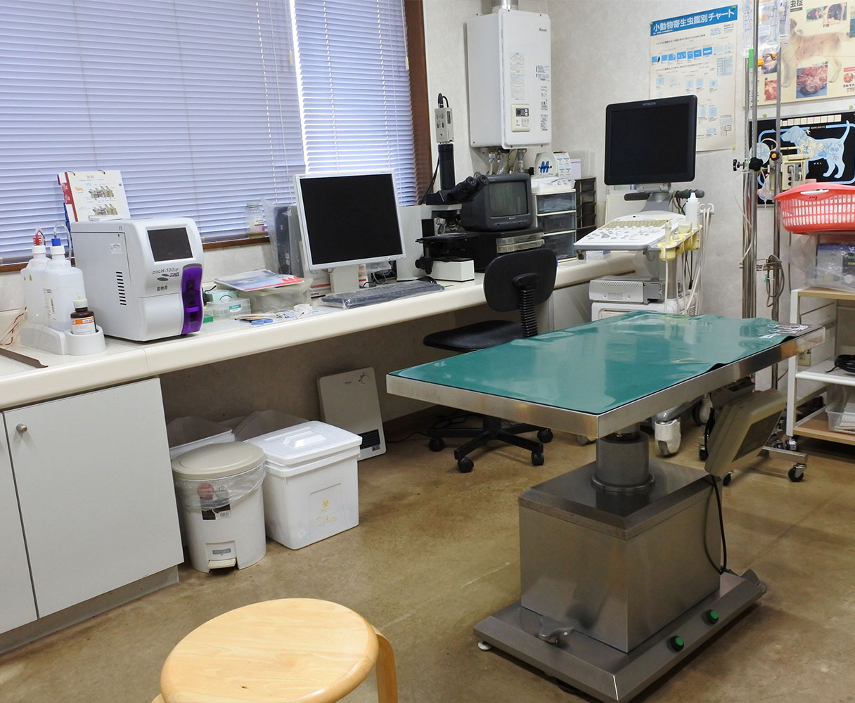 やまぎし動物病院は石川県羽咋市粟生町にある動物病院です。